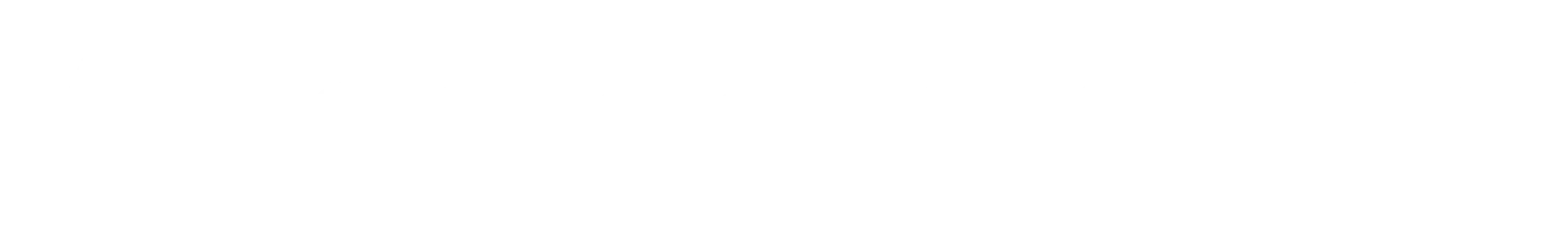 "Wonderlink from Germany clearly focusses on data protection."